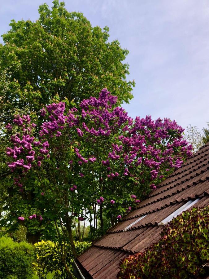 Naturparadies In Aurich Zewnętrze zdjęcie